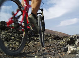 Tommys BIKES - alquiler y excursiones de bicicletas en Lanzarote